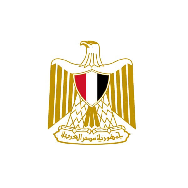 Egypt New Data Law Supports Data Center Localization